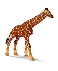 Schleich Zoo Safari Animal 14321 BABY GIRAFFE CALF NEW